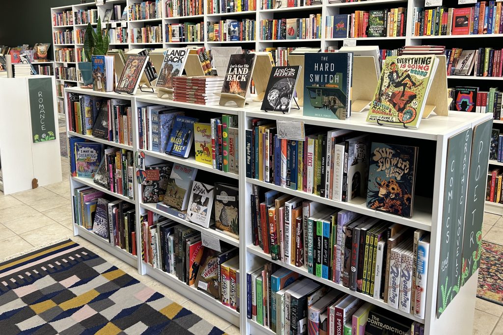 Stacks and shelves of comics centered in front of other shelves of books at Skunk Cabbage.